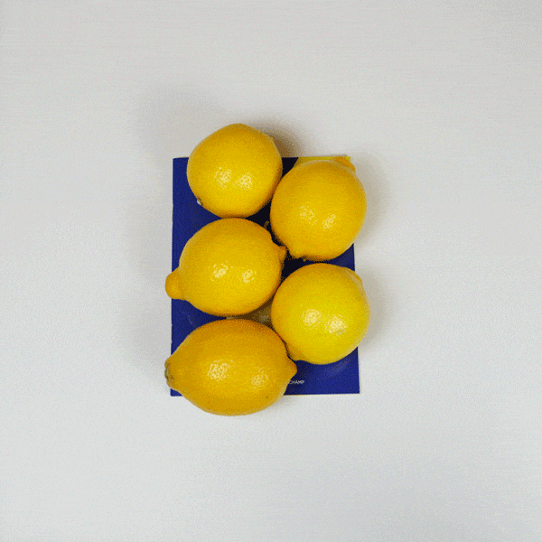 Programme Citrons animé