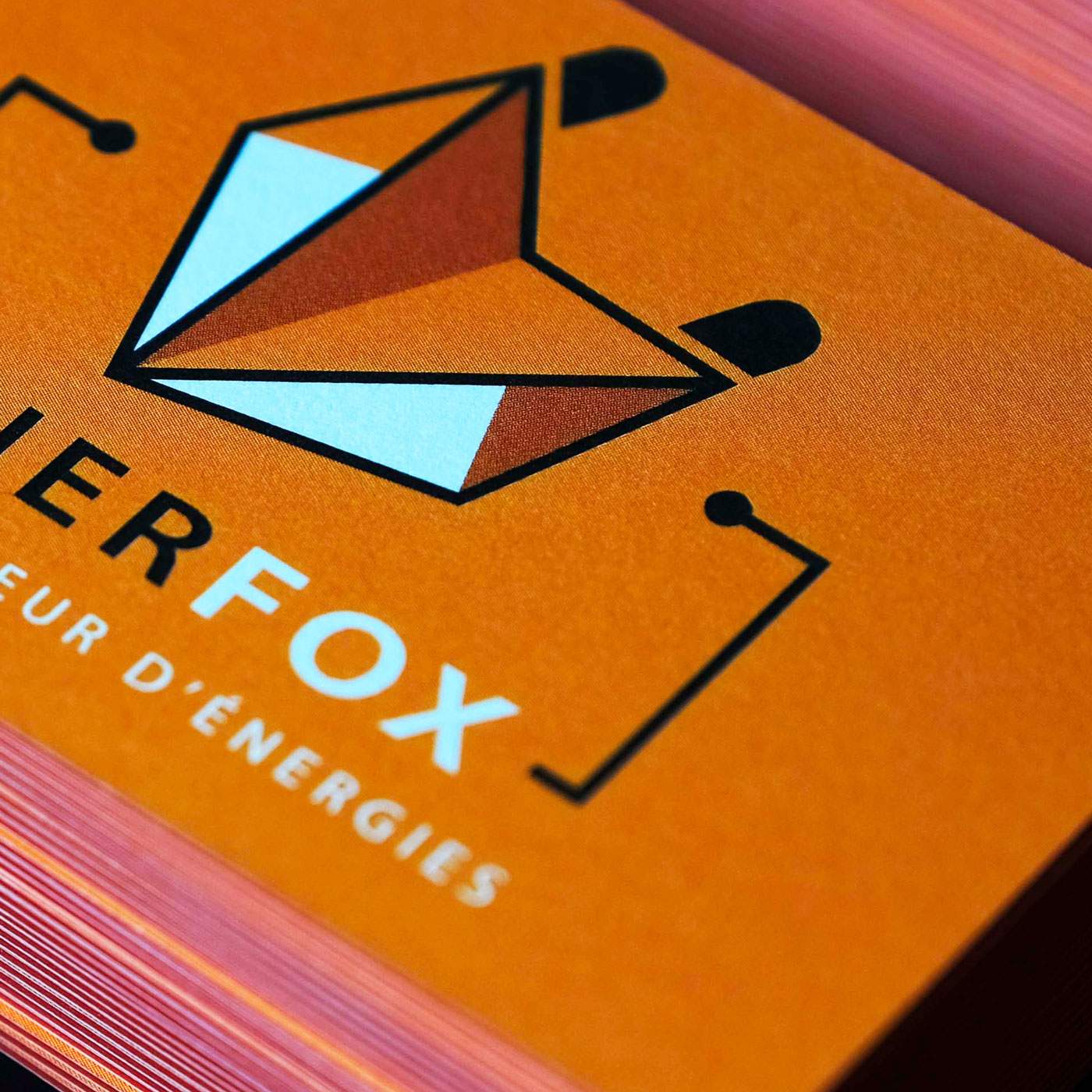 Cartes de visite Enerfox 5